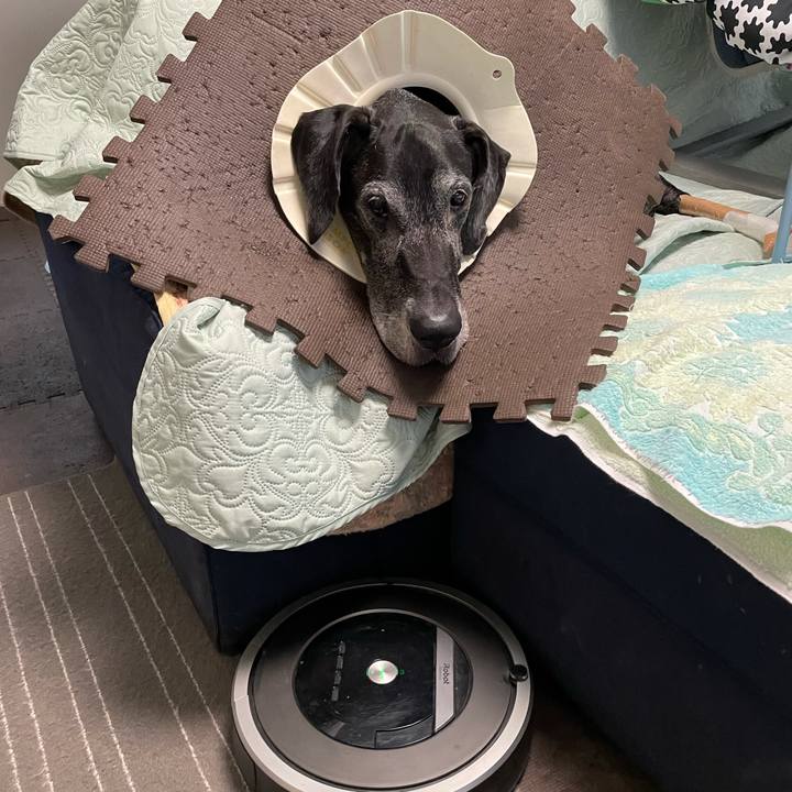 Ae8be643 6630 433f 9f71 a19c7128d290 1635111116266