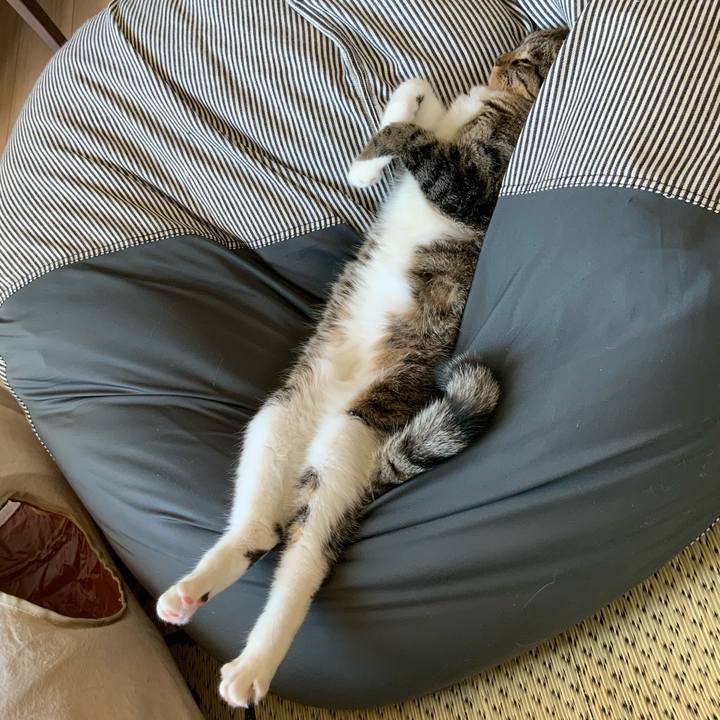 Ae8c0683 c945 424d 94a2 ae92221d6458 1689556245136