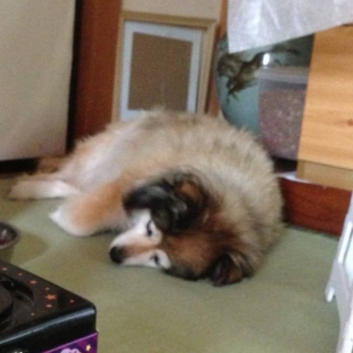 Ae8c0755 7b12 4548 8d69 258c0c0d8fce 1653430333209