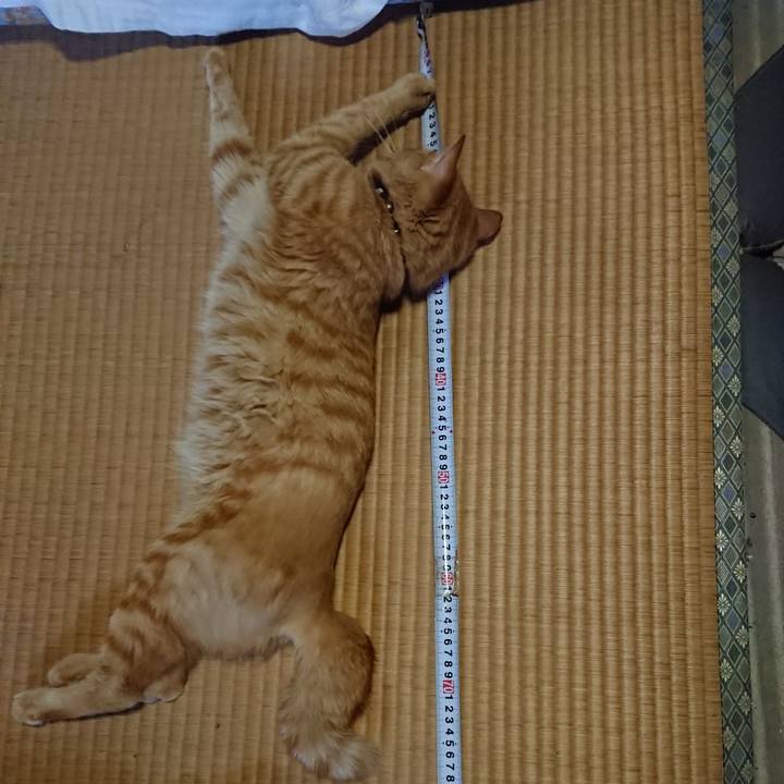 Ae8c0a51 397f 477b 8a9a d8927a212f6b 1661069542686