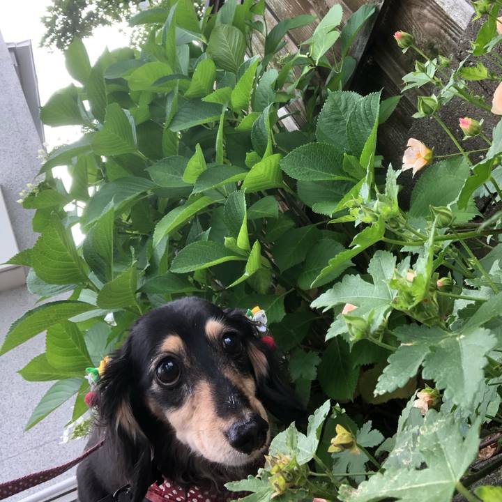 Ae8c2eed d6a4 46f2 9f85 3a8c31cc96c1 1559262395573