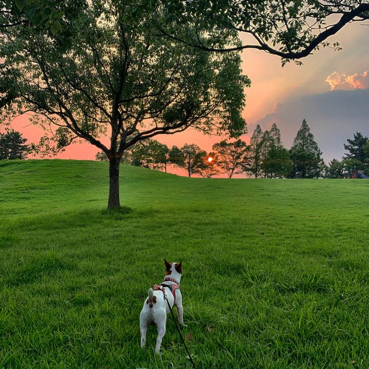 Ae8ca218 cb0e 48b9 839a 07866dc815ce 1564658089030