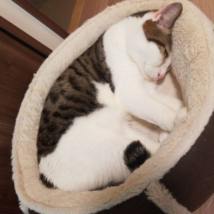 Ae8cb1f0 8d7a 4035 b694 f04684278900 1586208784682