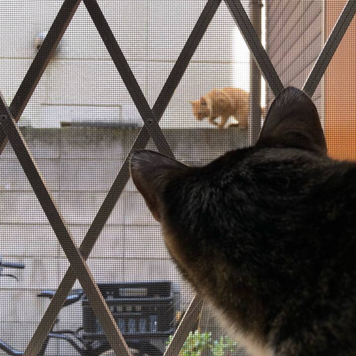 Ae8cbda9 860a 4fea b764 5f92045458f7 1522545858923