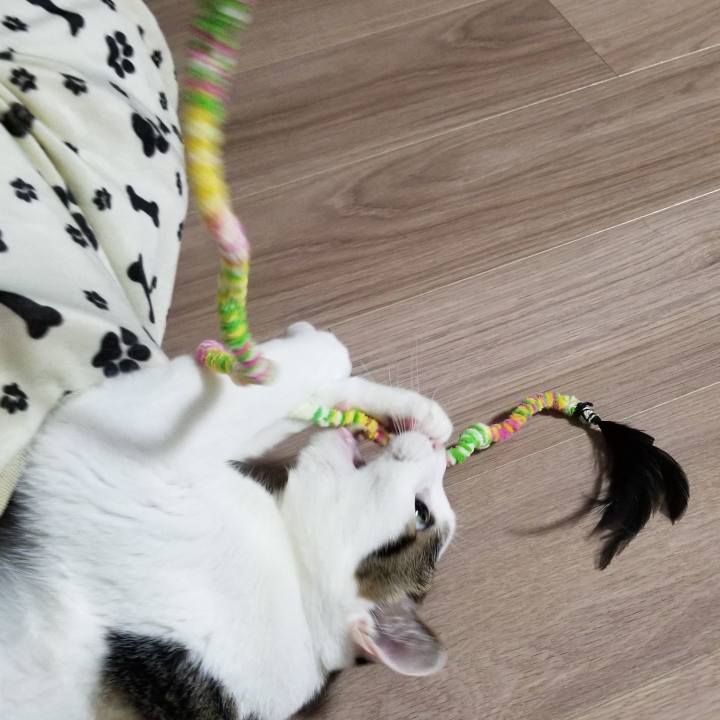 Ae8ce135 0003 4bbf a819 9390f07b4631 1553256200507