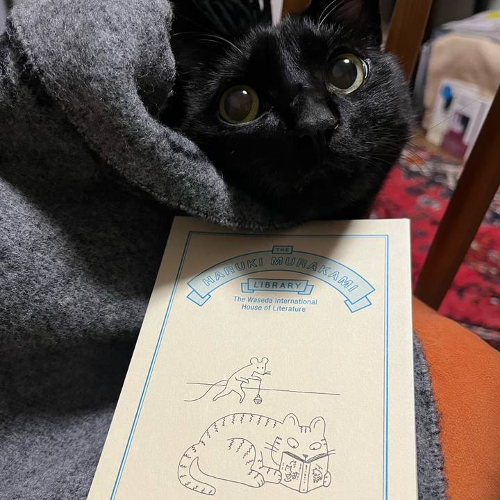 Ae8ceb72 c434 4f5b a678 274a09fbbdf5 1708690725327