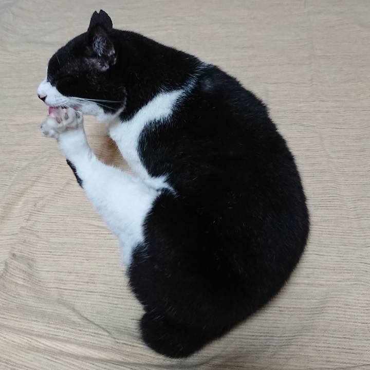 Ae8d03a7 6e7a 4dd2 8fd3 f1018fa8a9da 1663536255049