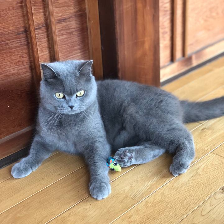 Ae8d043a e244 4506 b7e8 529801cf3070 1586419089570