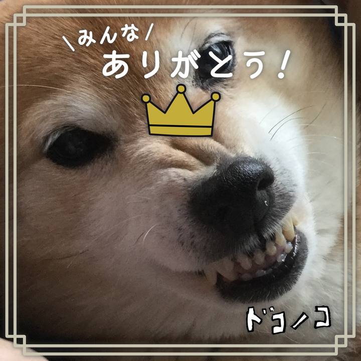 Ae8d479f 0a62 4f8d bd59 86b68df08f9b 1622898291009