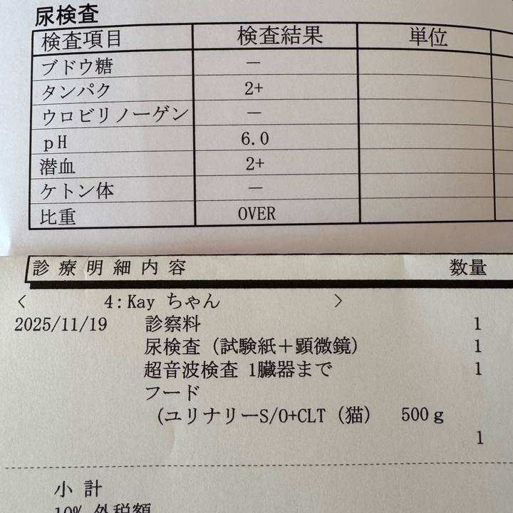 Ae8d8172 83de 4e2d 98d0 74ad959392ca 1763527468956