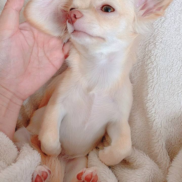 Ae8d94a3 300f 44f4 9b88 acd2e04b98b1 1596193343870