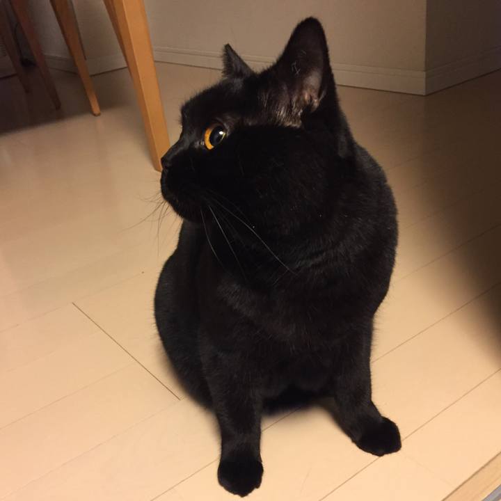 Ae8db3a2 6236 4fd6 a92e 4c20a2b74f95 1520944603046