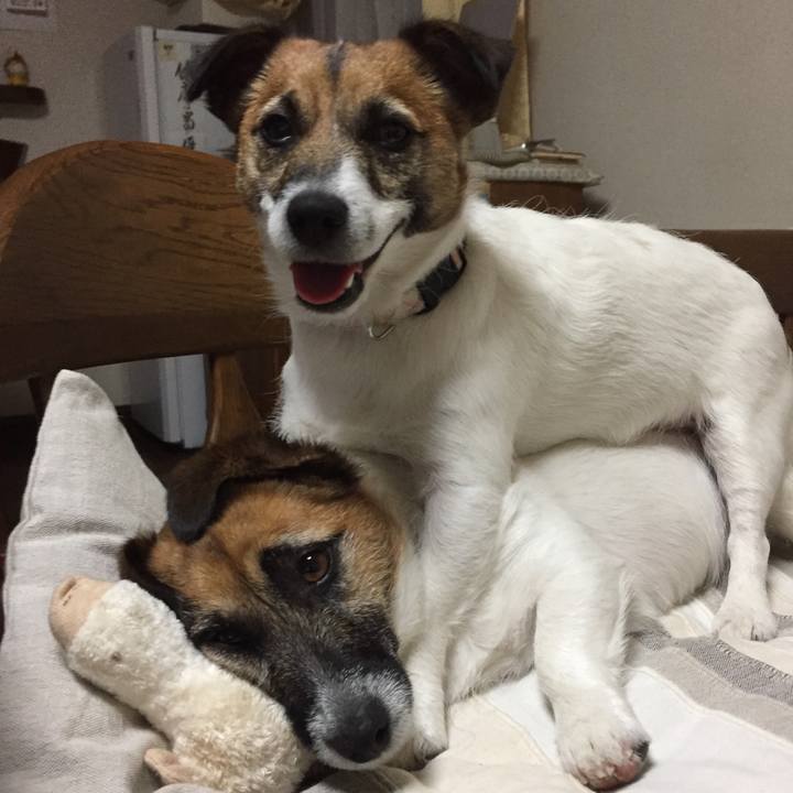 Ae8de996 ff5e 4f44 9134 a99b3004d4e0 1560756653058