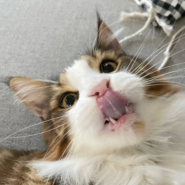 Ae8df672 bcc4 476c 8084 ef7a871b07db 1663017127749