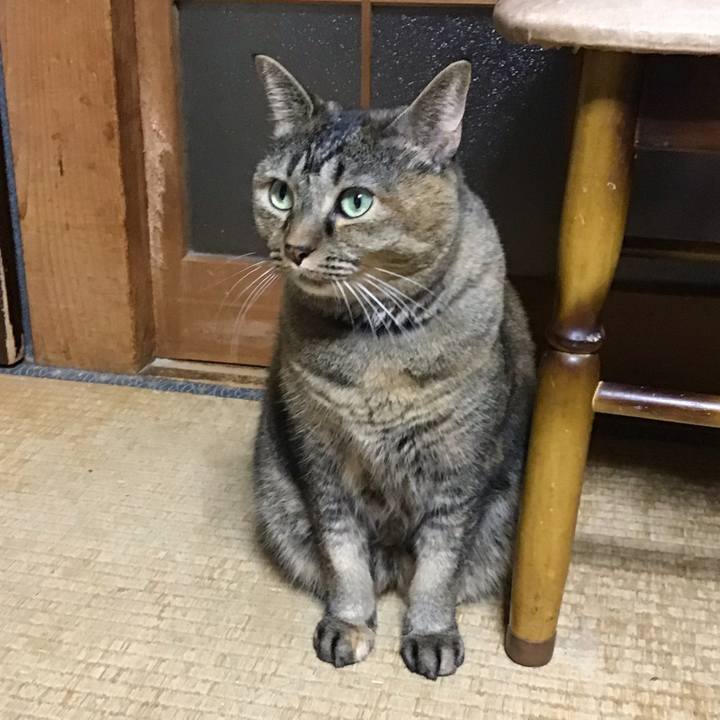 Ae8e0c2a 62c9 4677 baa1 871bbaefa2fc 1758618414637