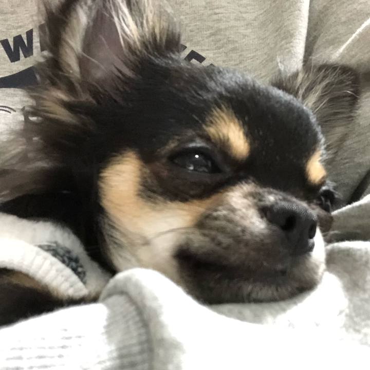 Ae8e10d4 fb05 419d b541 d588cdb05bcf 1542874962325