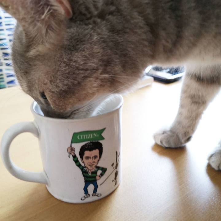 Ae8e6449 0cf7 44d9 9c49 e218ddfa34b4 1569742220573