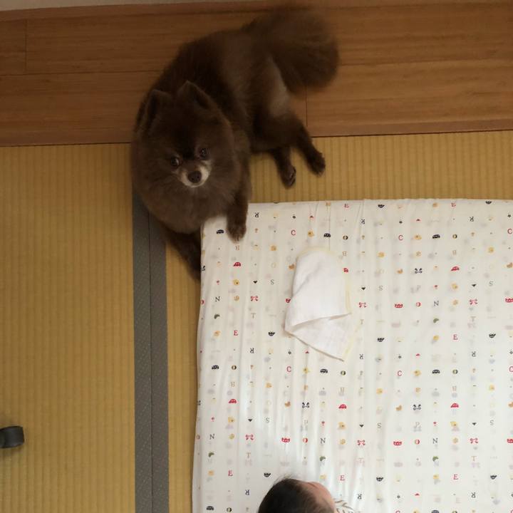 Ae8e77e5 85a8 43a1 93eb 42c65ee34e25 1567471618262