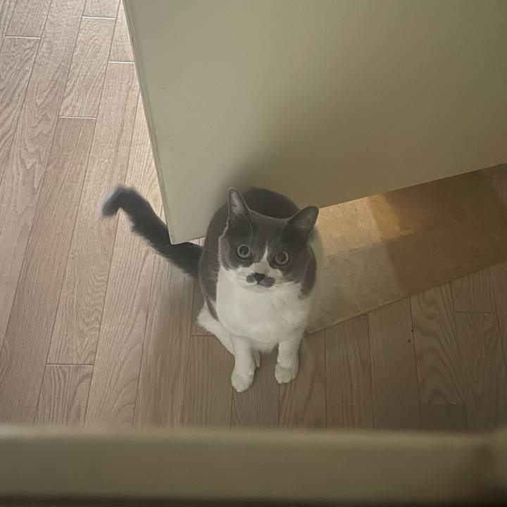 Ae8e8ad2 cdaa 48b8 abea 9fbff1ae3da6 1678433574572