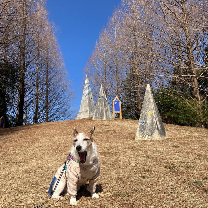 Ae8e8d7f c3ce 46fb bb55 b1ebcc397b96 1707611534838