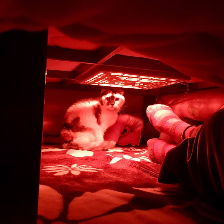 Ae8e97fb 734a 4d75 8a77 f79c4eb4b0a1 1513412407807