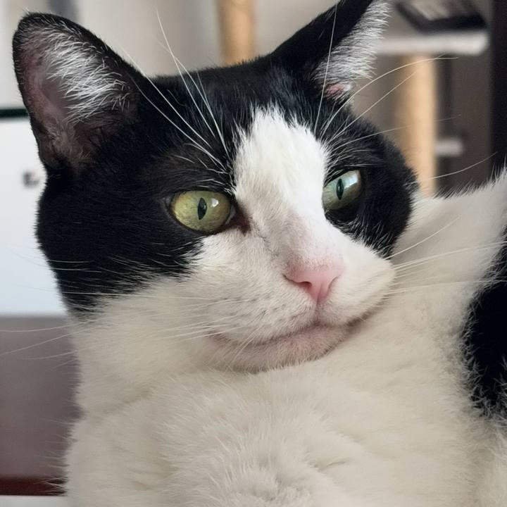 Ae8ea7ed 0962 457b 9fe0 281093dc7a6c 1758409131152