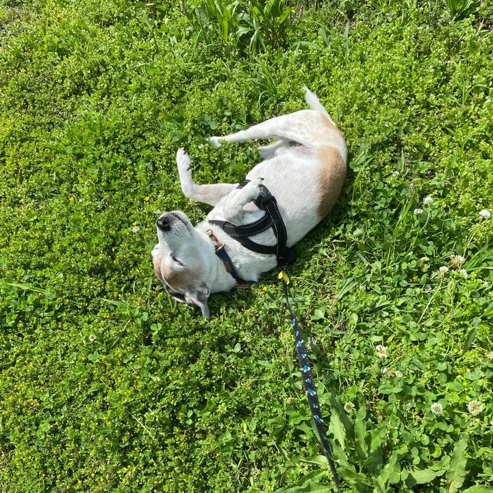 Ae8eb2dc 1693 4e15 8749 3fe295b15bac 1620545791926