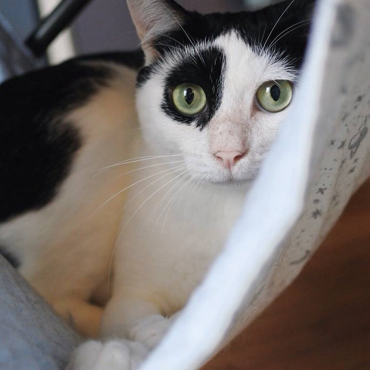 Ae8ee36f 5557 4d97 b4d0 455f2f84fb9e 1533770655343