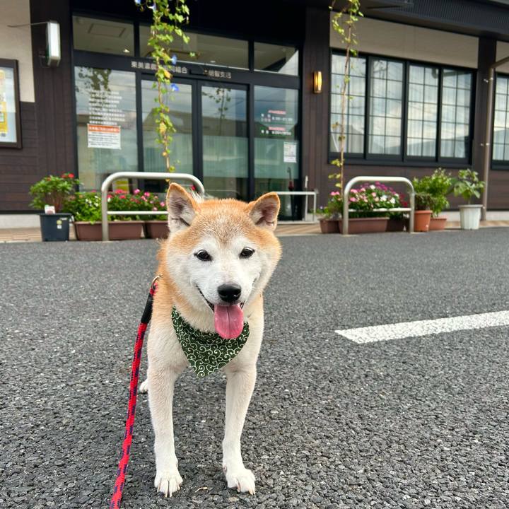 Ae8ee779 d7d6 48be aa00 5343b56b7a57 1758539293751