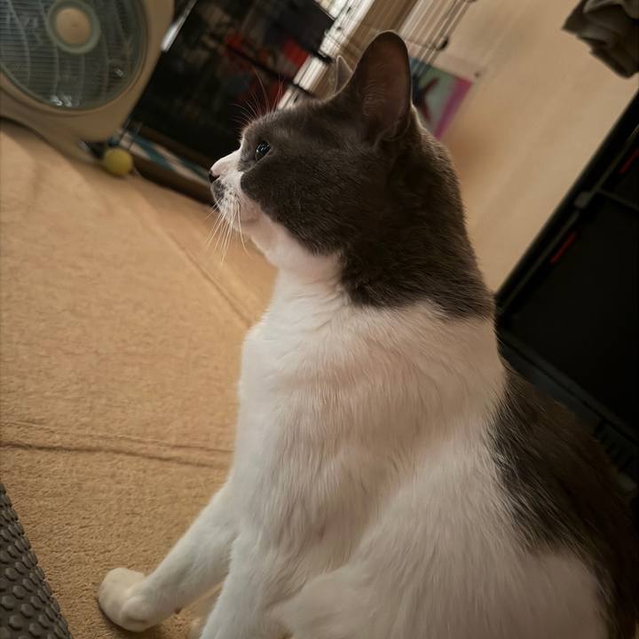 Ae8ee7f8 32c1 411d b398 ec0bed3acfac 1759445139282