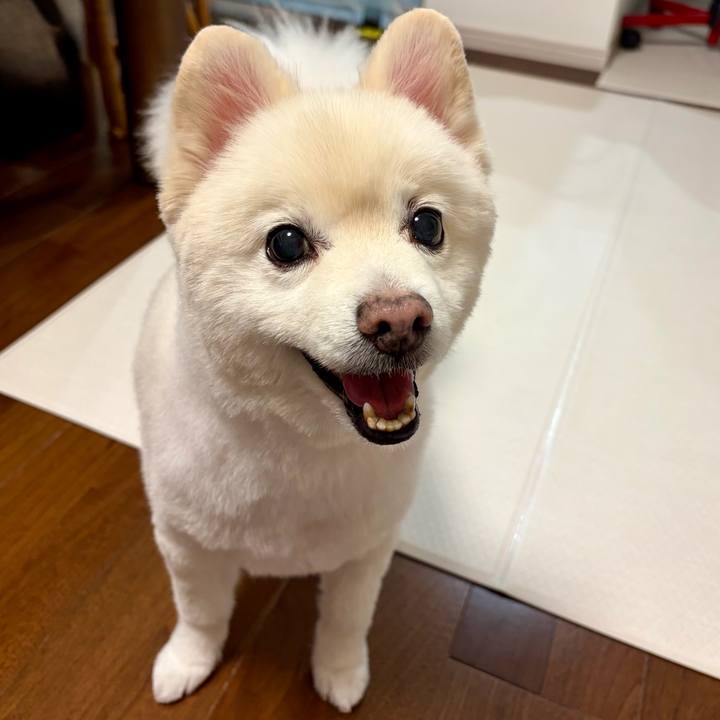 Ae8f0f11 d162 4d29 ac91 6ea54e90d133 1762171946758