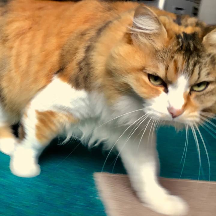 Ae8f22af c122 4096 adf6 2429ab4c27dc 1556402172286