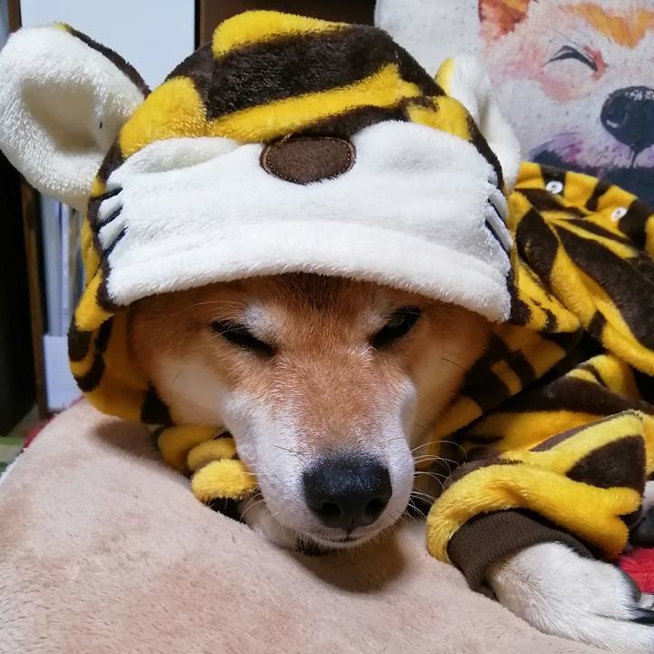 Ae8f2425 e823 4a7d b428 d7d363c7e7ac 1633445490446