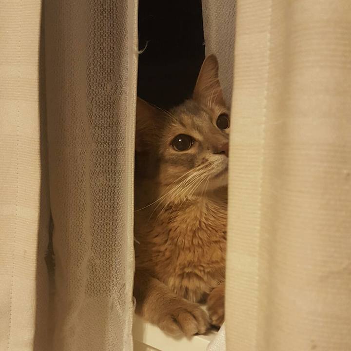 Ae8fb135 2b75 4b52 8b4a 581a77cdc198 1533045470344