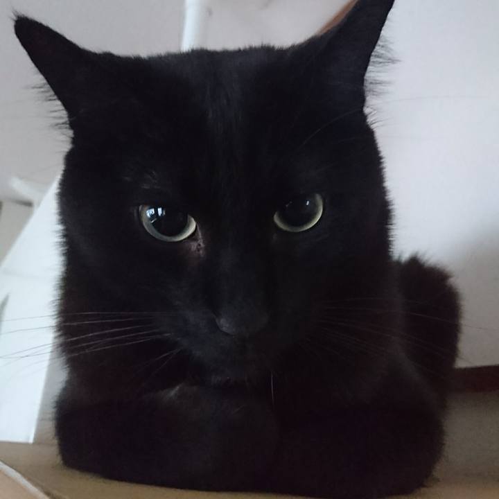 Ae8fcec8 f6fe 4f79 8121 d8908ffa528b 1577920065164