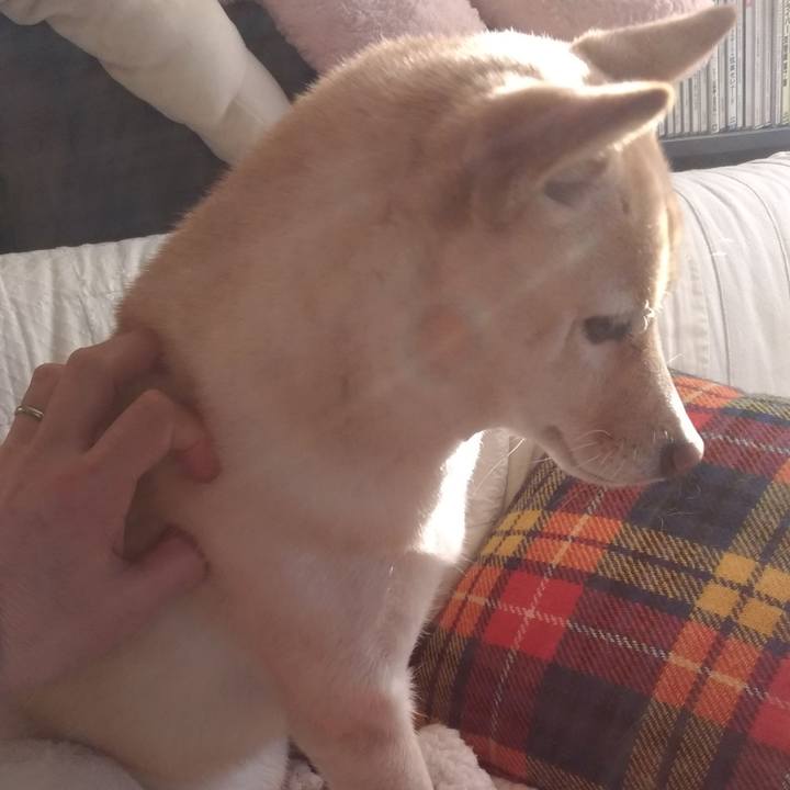 Ae8fd617 054b 478a 97d7 2db9865beffc 1612394118257