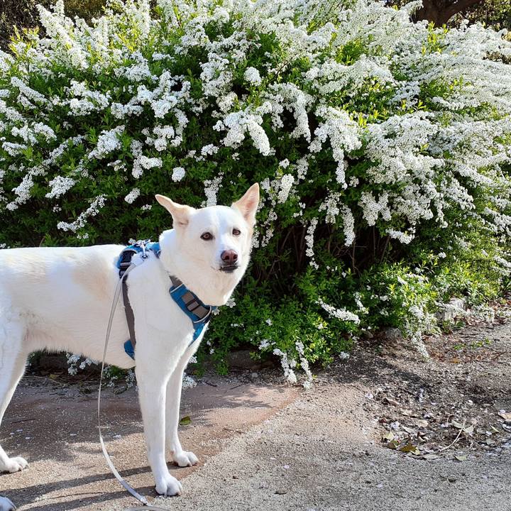 Ae8ff76d 0d68 4567 a2ae 63e75a239eb9 1648881586783