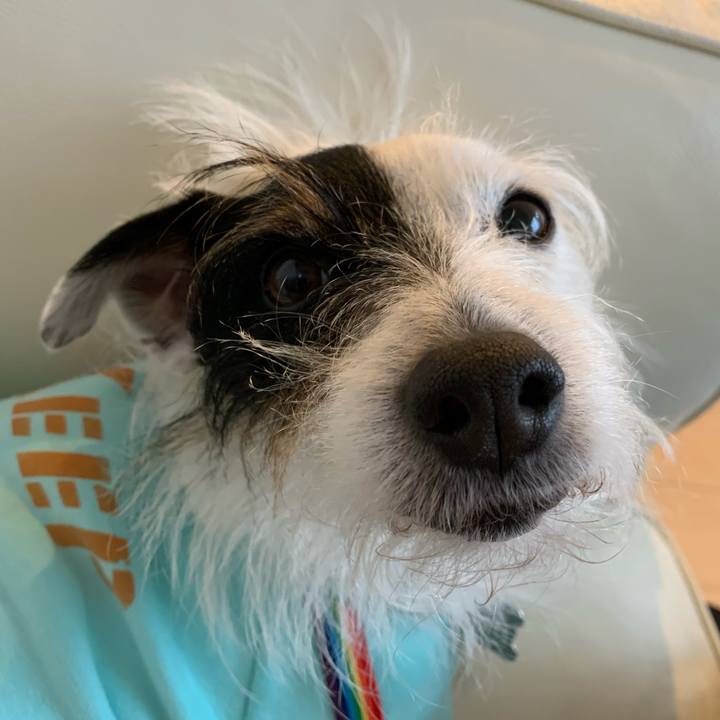 Ae901b31 65dc 43da abbd 859fed497052 1644737478998