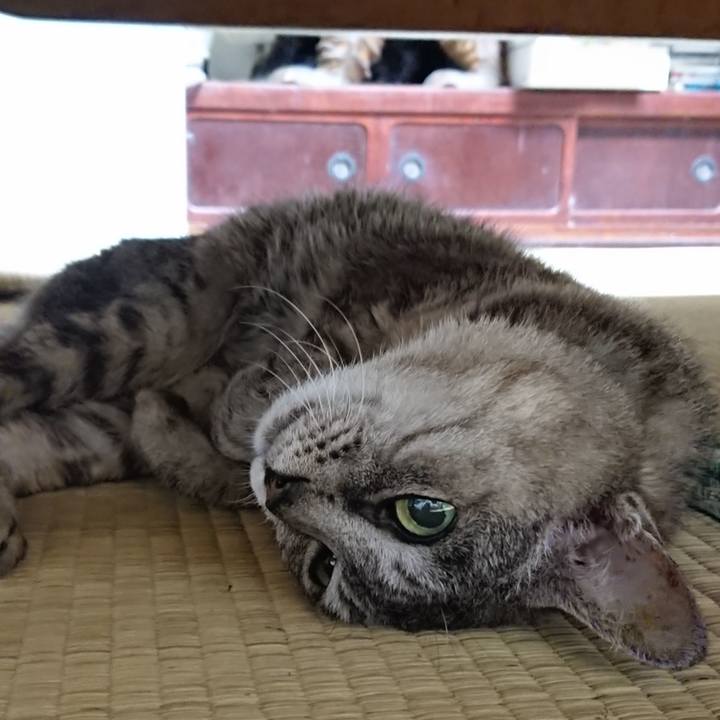 Ae908acd dd04 4797 afc4 8eefa88078d2 1566302341932