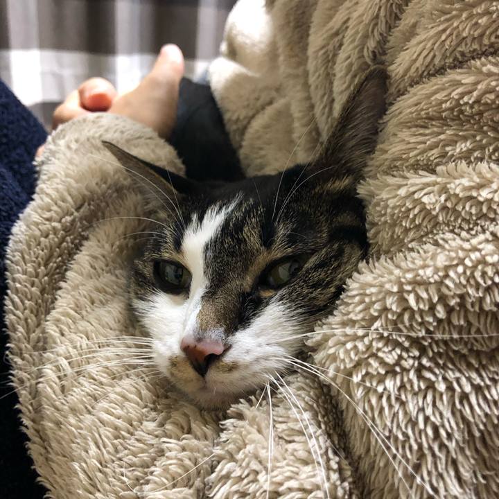 Ae909a3a 784a 4df1 84be 1e5abad5723e 1543627276244