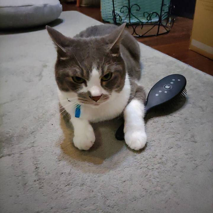 Ae90c18b 2279 4b0c bd11 7b94c1908522 1717325661727