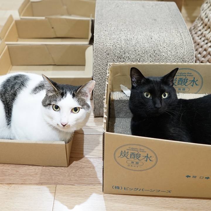 Ae90db32 8cbc 4b33 b677 a62e861e8d21 1560987804477