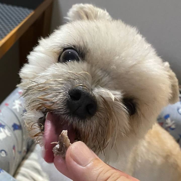 Ae913e0f 8900 4dd6 b7c4 f8e29ea20208 1722399471937