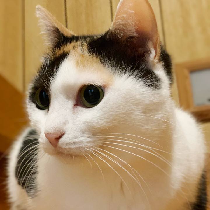 Ae91407a a79f 4878 a875 e5e651f5f810 1544840010960