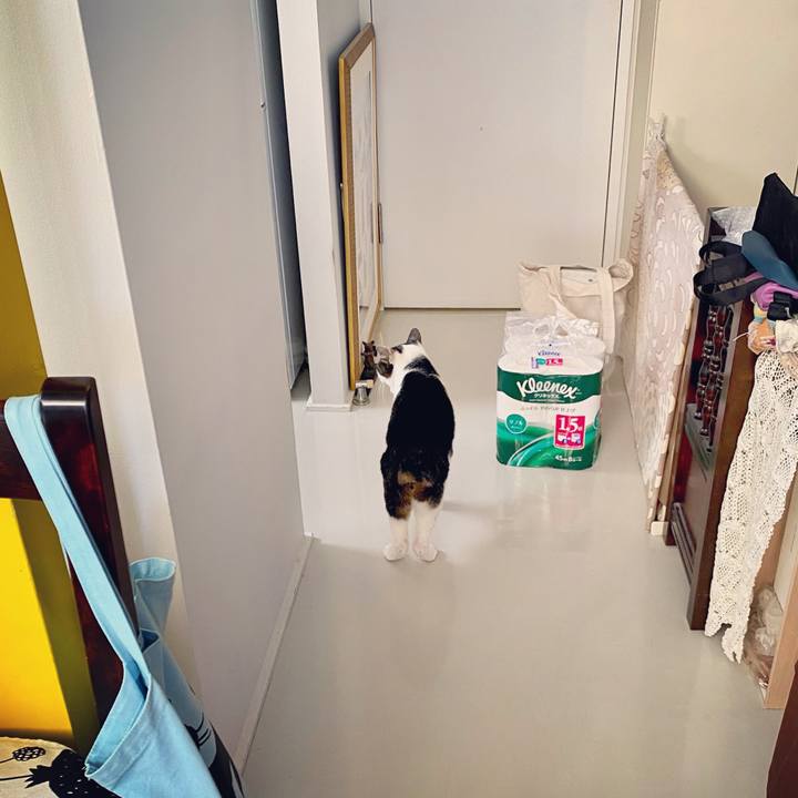 Ae9174c1 2344 40d7 86dc edc44df425fc 1608446146812