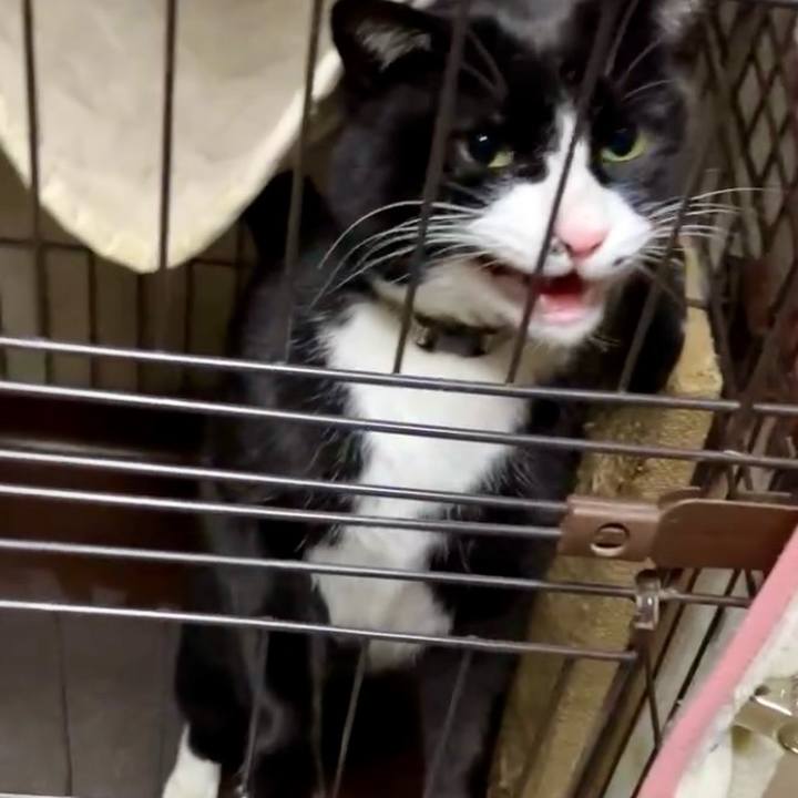 Ae91ec26 8a0e 4878 91c3 b8cf3dc78059 1735989090350