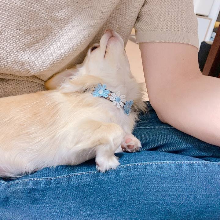 Ae923183 5a91 4845 8bfa af9e4e6e7376 1619320103432