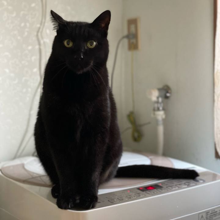 Ae925963 8be1 4f92 8996 16c7087869af 1648174512302