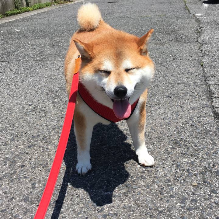 Ae9260f7 1093 4eb2 bd6d 101560a97543 1595734578675