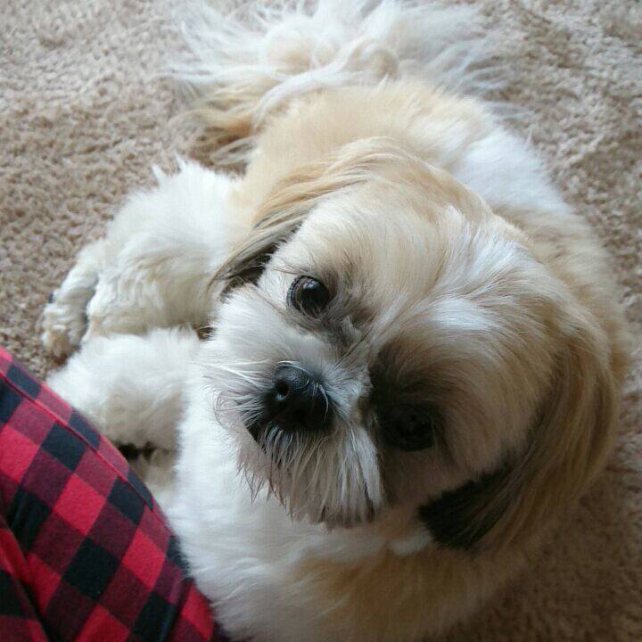 Ae9276b4 3731 4a24 9ef0 72d929afdae0 1522212482411